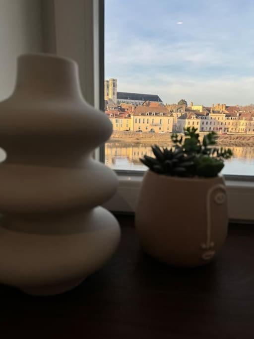 Appartement Avec Magnifique Vue Sur La Saone Et Son Balcon Chalon-sur-Saone Luaran gambar
