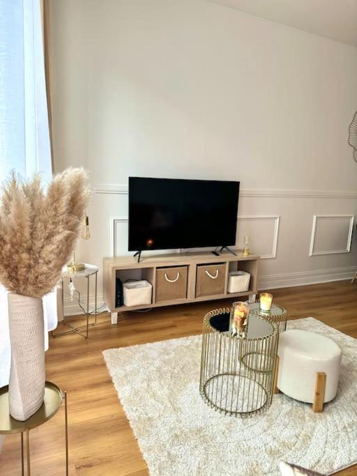 Appartement Avec Magnifique Vue Sur La Saone Et Son Balcon Chalon-sur-Saone Luaran gambar